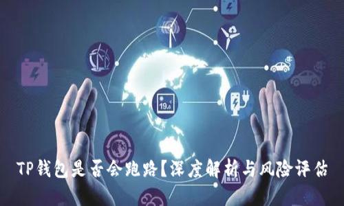 TP钱包是否会跑路？深度解析与风险评估