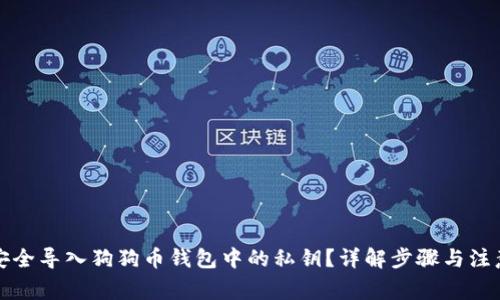 如何安全导入狗狗币钱包中的私钥?详解步骤与注意事项